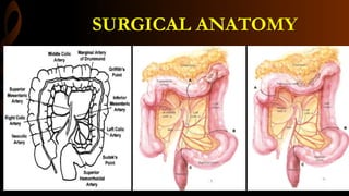 SURGICAL ANATOMY
 
