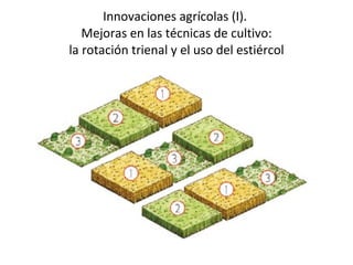 Innovaciones agrícolas (I).  Mejoras en las técnicas de cultivo: la rotación trienal y el uso del estiércol 