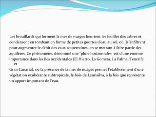 Les brouillards qui forment la mer de nuages heurtent les feuilles des arbres et
condensent en tombant en forme de petites gouttes d'eau au sol, où ils 'infltrent
pour augmenter le débit des eaux souterraines, en se mettant à faire partie des
aquifères. Ce phénomène, dénommé une "pluie horizontale« est d'une énorme
importance dans les îles occidentales (El Hierro, La Gomera, La Palma, Tenerife
et
Gran Canaria), où la présence de la mer de nuages permet l'établissement d'une
végétation exubérante subtropicale, le bois de Laurisilva, à la fois que représente
un apport important de l'eau.
 