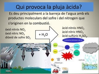 Qui provoca la pluja àcida?
Es deu principalment a la barreja de l'aigua amb els
productes moleculars del sofre i del nitrogen que
s‘originen en la combustió.
òxid nitrós NO2
òxid nítric NO3
diòxid de sofre SO2
àcid nitrós HNO2
àcid nítric HNO3
àcid sulfúric H2SO4.+ H2O
 