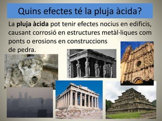 La pluja àcida pot tenir efectes nocius en edificis,
causant corrosió en estructures metàl·liques com
ponts o erosions en construccions
de pedra.
Quins efectes té la pluja àcida?
 