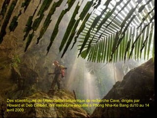 Des scientifiques de l'Association britannique de recherche Cave, dirigés par
Howard et Deb Limbert, ont mené une enquête à Phong Nha-Ke Bang du10 au 14
avril 2009
 