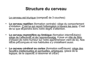 Structure du cerveau <ul><li>Le cerveau est triurique  (composé de 3 couches): </li></ul><ul><li>Le cerveau reptilien  (fo...