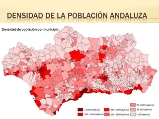 DENSIDAD DE LA POBLACIÓN ANDALUZA
 