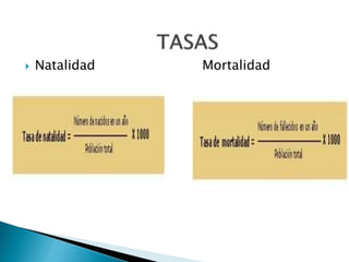  Natalidad Mortalidad
 