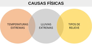 CAUSAS FÍSICAS