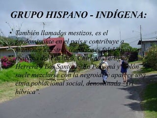 GRUPO HISPANO - INDÍGENA:
• También llamados mestizos, es el
predominante en el país y contribuye a
mantener nuestras tradiciones folclóricas
(Sabana del Pacífico, Chiriquí, Veraguas,
Herrera y Los Santos). En Panamá y Colón
suele mezclarse con la negroide y aparece una
étnia poblacional social, denominada "Tri
híbrica".
M.sc Roberto A. Marín

 