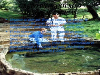 GRUPO EXTRANJERO O
MINORÍAS ÉTNICAS
• Llegaron al país por diversas causas; ya sea por la
construcción del canal, superación económica
independiente, problemas políticos, entre otros.
• El más numeroso es el Chino, jugando un papel
importante en la economía y comercio e industria.
Otros como los Hebreos, Indostaníes, españoles,
Árabes, Griegos, Italianos, entre otros; controlando el
área comercial e industrial del país. Ubicándose
principalmente en Panamá y Colón.

M.sc Roberto A. Marín

 