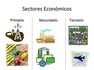 Sectores Económicos Primario  Secundario  Terciario  