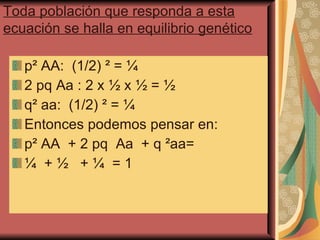 p² AA :  (1/2)  ²  = ¼ 2 pq Aa : 2 x ½ x ½ = ½ q ²  aa:  (1/2)  ²  = ¼ Entonces podemos pensar en: p² AA  + 2 pq  Aa  + q ²aa=  ¼  + ½  + ¼  = 1 Toda población que responda a esta ecuación se halla en equilibrio genético 