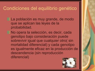 Condiciones del equilibrio genético La población es muy grande, de modo que se aplican las leyes de la probabilidad. No opera la selección, es decir, cada genotipo bajo consideración puede sobrevivir igual que cualquier otro( sin mortalidad diferencial) y cada genotipo es igualmente eficaz en la producción de descendencia (sin reproducción diferencial)  