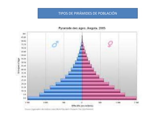 TIPOS DE PIRÁMIDES DE POBLACIÓN
 