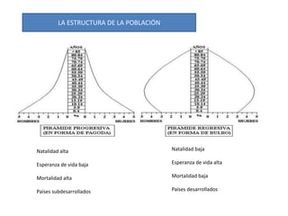 Natalidad alta
Esperanza de vida baja
Mortalidad alta
Países subdesarrollados
Natalidad baja
Esperanza de vida alta
Mortalidad baja
Países desarrollados
LA ESTRUCTURA DE LA POBLACIÓN
 