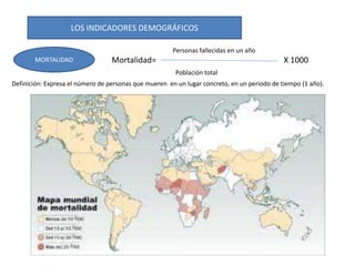 LOS INDICADORES DEMOGRÁFICOS
MORTALIDAD Mortalidad=
Personas fallecidas en un año
Población total
X 1000
Definición: Expresa el número de personas que mueren en un lugar concreto, en un periodo de tiempo (1 año).
 