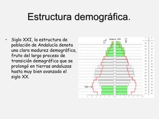 Estructura demográfica . Siglo XXI, la estructura de población de Andalucía denota una clara madurez demográfica, fruto del largo proceso de transición demográfica que se prolongó en tierras andaluzas hasta muy bien avanzado el siglo XX. 