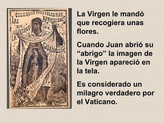 La Virgen le mandó que recogiera unas flores.  Cuando Juan abrió su “abrigo” la imagen de la Virgen apareció en la tela. Es considerado un milagro verdadero por el Vaticano. 