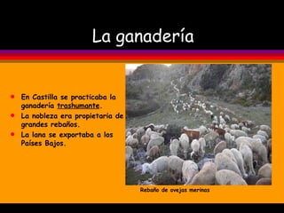 La ganadería En Castilla se practicaba la ganadería  trashumante . La nobleza era propietaria de grandes rebaños. La lana se exportaba a los  Países Bajos. Rebaño de ovejas merinas 