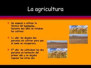 La agricultura Se empezó a utilizar la técnica del  barbecho. , Durante dos años se rotaban los cultivos: 1 er  año: Se dejaba dos parcelas sin cultivar para que el suelo se recuperara. 2º año: Se cultivaban las dos parcelas en barbecho del primer año y se dejaba reposar las otras dos 