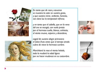 En tanto que de rosa y azucena
se muestra la color en vuestro gesto,
y que vuestro mirar, ardiente, honesto,
con clara luz la tempestad refrena;

y en tanto que el cabello, que en la vena
del oro se escogió, con vuelo presto
por el hermoso cuello, blanco, enhiesto,
el viento mueve, esparce y desordena,

coged de vuestra alegre primavera
el dulce fruto antes que el tiempo airado
cubra de nieve la hermosa cumbre.

Marchitará la rosa el viento helado,
todo lo mudará la edad ligera
por no hacer mudanza en su costumbre.
 