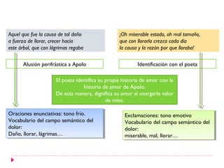 Aquel que fue la causa de tal daño                ¡Oh miserable estado, oh mal tamaño,
a fuerza de llorar, crecer hacía                  que con llorarla crezca cada día
este árbol, que con lágrimas regaba               la causa y la razón por que lloraba!

      Alusión perifrástica a Apolo                        Identificación con el poeta

                      El poeta identifica su propia historia de amor con la
                                  historia de amor de Apolo.
                      De esta manera, dignifica su amor al otorgarle valor
                                             de mito.

Oraciones enunciativas: tono frío.
 Oraciones enunciativas: tono frío.                  Exclamaciones: tono emotivo
                                                      Exclamaciones: tono emotivo
Vocabulario del campo semántico del
 Vocabulario del campo semántico del                 Vocabulario del campo semántico del
                                                      Vocabulario del campo semántico del
dolor:
 dolor:                                              dolor:
                                                      dolor:
Daño, llorar, lágrimas…
 Daño, llorar, lágrimas…                             miserable, mal, llorar…
                                                      miserable, mal, llorar…
 
