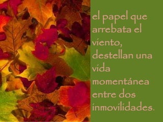 el papel que
arrebata el
viento,
destellan una
vida
momentánea
entre dos
inmovilidades.
 
