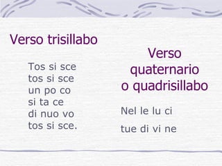 Verso trisillabo Tos si sce tos si sce un po co si ta ce di nuo vo tos si sce. Verso quaternario o quadrisillabo Nel le lu ci tue di vi ne 