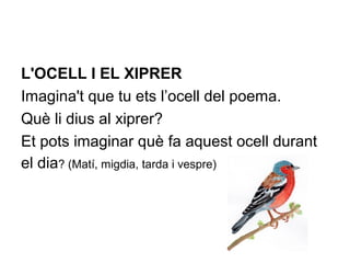 L'OCELL I EL XIPRER
Imagina't que tu ets l’ocell del poema.
Què li dius al xiprer?
Et pots imaginar què fa aquest ocell durant
el dia? (Matí, migdia, tarda i vespre)
 