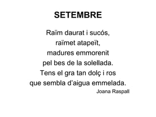 SETEMBRE
Raïm daurat i sucós,
raïmet atapeït,
madures emmorenit
pel bes de la solellada.
Tens el gra tan dolç i ros
que sembla d’aigua emmelada.
Joana Raspall
 