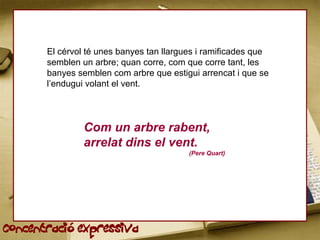 El cérvol té unes banyes tan llargues i ramificades que
       semblen un arbre; quan corre, com que corre tant, les
       banyes semblen com arbre que estigui arrencat i que se
       l’endugui volant el vent.




                Com un arbre rabent,
                arrelat dins el vent.
                                          (Pere Quart)




Concentració expressiva
 
