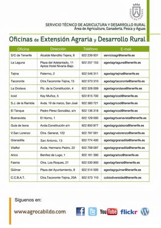 La polilla de la col