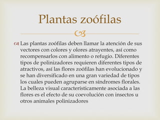 La Polinizaci n PPTX la-polinizaci-n-pptx