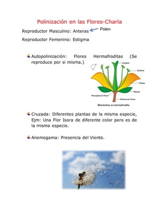 Polinización en las Flores-Charla
Reproductor Masculino: Anteras
Reproductor Femenino: Estigma
Autopolinización: Flores Hermafroditas (Se
reproduce por si misma.)
Cruzada: Diferentes plantas de la misma especie,
Ejm: Una Flor Isora de diferente color pero es de
la misma especie.
Anemogama: Presencia del Viento.
Polen
 