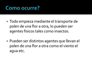  Todo empieza mediante el transporte de
polen de una flor a otra, lo pueden ser
agentes fisicos tales como insectos.
 Pueden ser distintos agentes que llevan el
polen de una flor a otra como el viento el
agua etc.
 