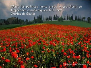 "Como los políticos nunca creen lo que dicen, se
sorprenden cuando alguien sí lo cree".
Charles de Gaulle




                                    Amapolas en la Toscana
 
