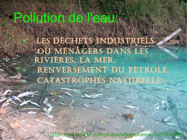 La Pollution La Pollution
