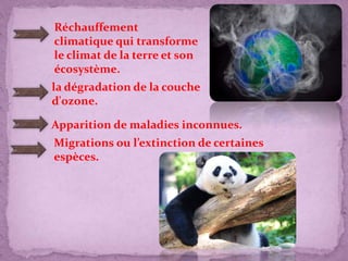 Réchauffement
climatique qui transforme
le climat de la terre et son
écosystème.
la dégradation de la couche
d'ozone.
Apparition de maladies inconnues.
Migrations ou l’extinction de certaines
espèces.
 