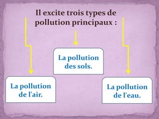 Il excite trois types de
pollution principaux :
La pollution
de l'air.
La pollution
de l'eau.
La pollution
des sols.
 