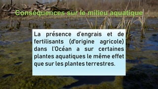 Conséquences sur le milieu aquatique
La présence d’engrais et de
fertilisants (d'origine agricole)
dans l’Océan a sur certaines
plantes aquatiques le même effet
que sur les plantes terrestres.
 