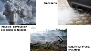 transports
industrie, combustion
des énergies fossiles
culture sur brûlis,
chauffage
 