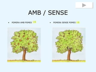 AMB / SENSE <ul><li>POMERA AMB POMES </li></ul><ul><li>POMERA SENSE POMES </li></ul>