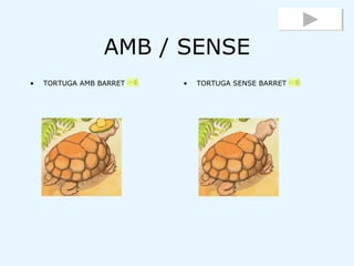 AMB / SENSE <ul><li>TORTUGA AMB BARRET </li></ul><ul><li>TORTUGA SENSE BARRET </li></ul>