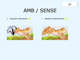AMB / SENSE <ul><li>GRANOTA AMB BOTES </li></ul><ul><li>GRANOTA SENSE BOTES </li></ul>