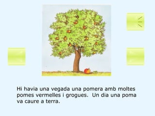 Hi havia una vegada una pomera amb moltes pomes vermelles i grogues.  Un dia una poma va caure a terra. 