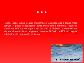 …Renas, lobos, ursos, e aves marítimas e terrestres são a fauna mais comum. A pesca é abundante, tanto fluvial como marítima. Todos os portos no Mar da Noruega e os do Mar de Barents a nordeste de Murmansk estão livres de gelo no Inverno. O Golfo de Bótnia congela habitualmente na estação mais fria.