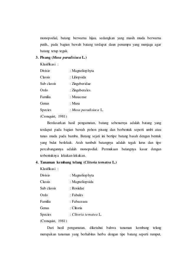 Laporan praktikum 4 bentuk batang arah tumbuh permukaan 