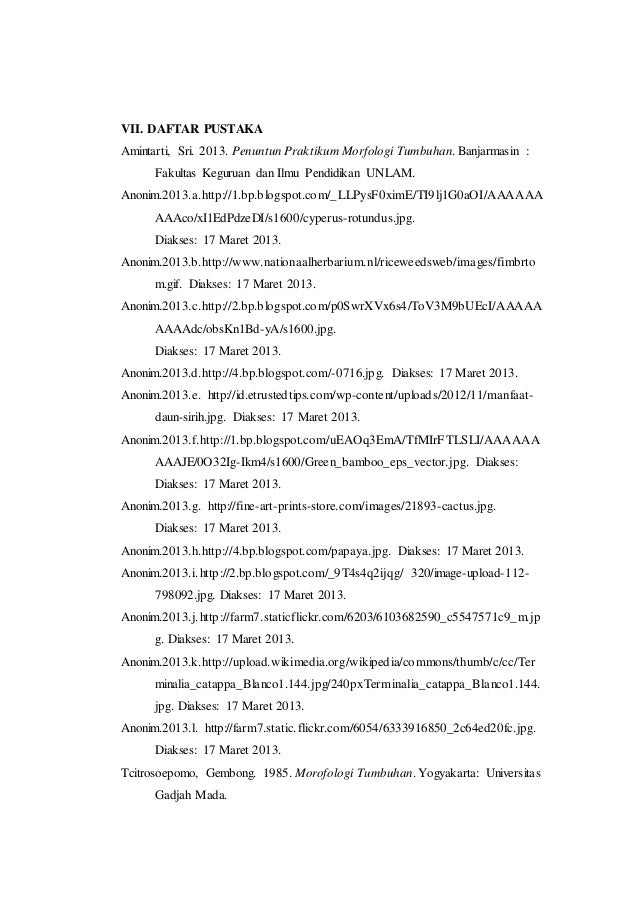 Laporan praktikum 4 bentuk batang arah tumbuh permukaan 
