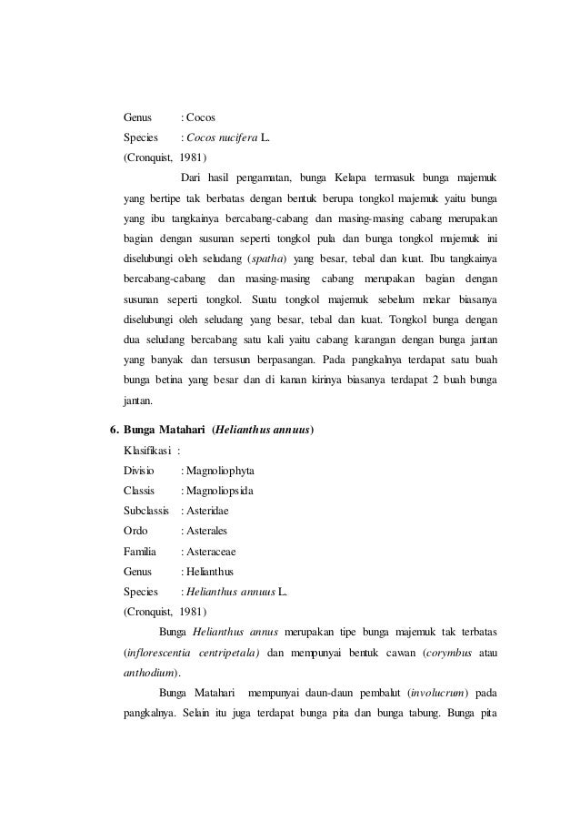 Contoh Teks Laporan Hasil Observasi Bunga Matahari Dapatkan Contoh
