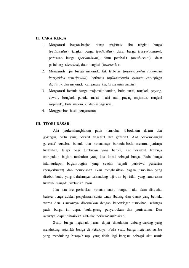 Laporan praktikum 6 bunga majemuk (morfologi tumbuhan)