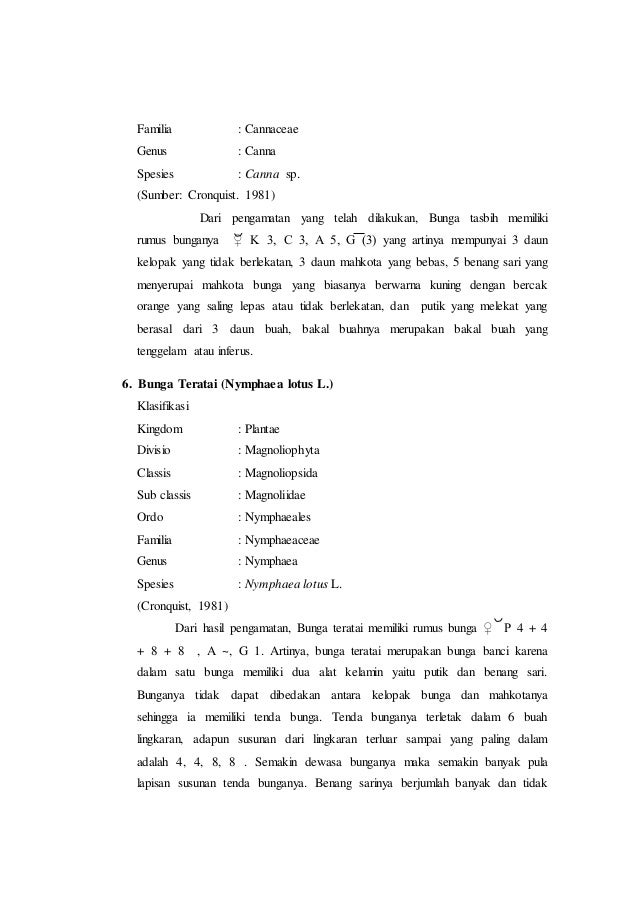 Contoh Teks Laporan Hasil Observasi Pdf Berbagi Teks Penting Free Photos