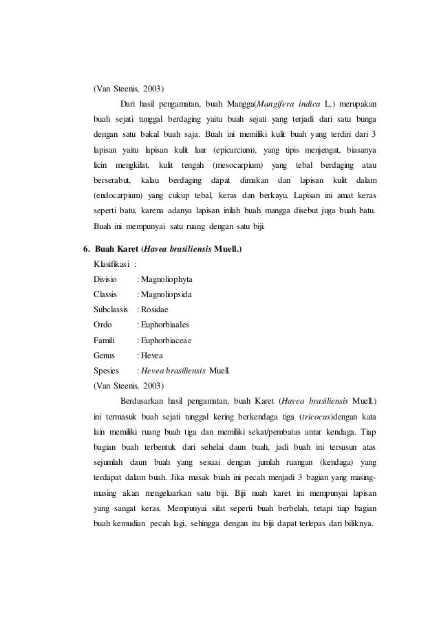 Laporan Praktikum 10 Buah Dan Biji Morfologi Tumbuhan